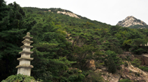 서로의 시선이,부산광역시 사하구