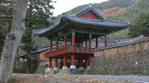 갑작스레, 선명히,대구광역시 남구