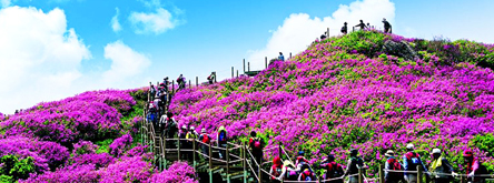 지리산 철쭉, 춘향이와 즐겨라!